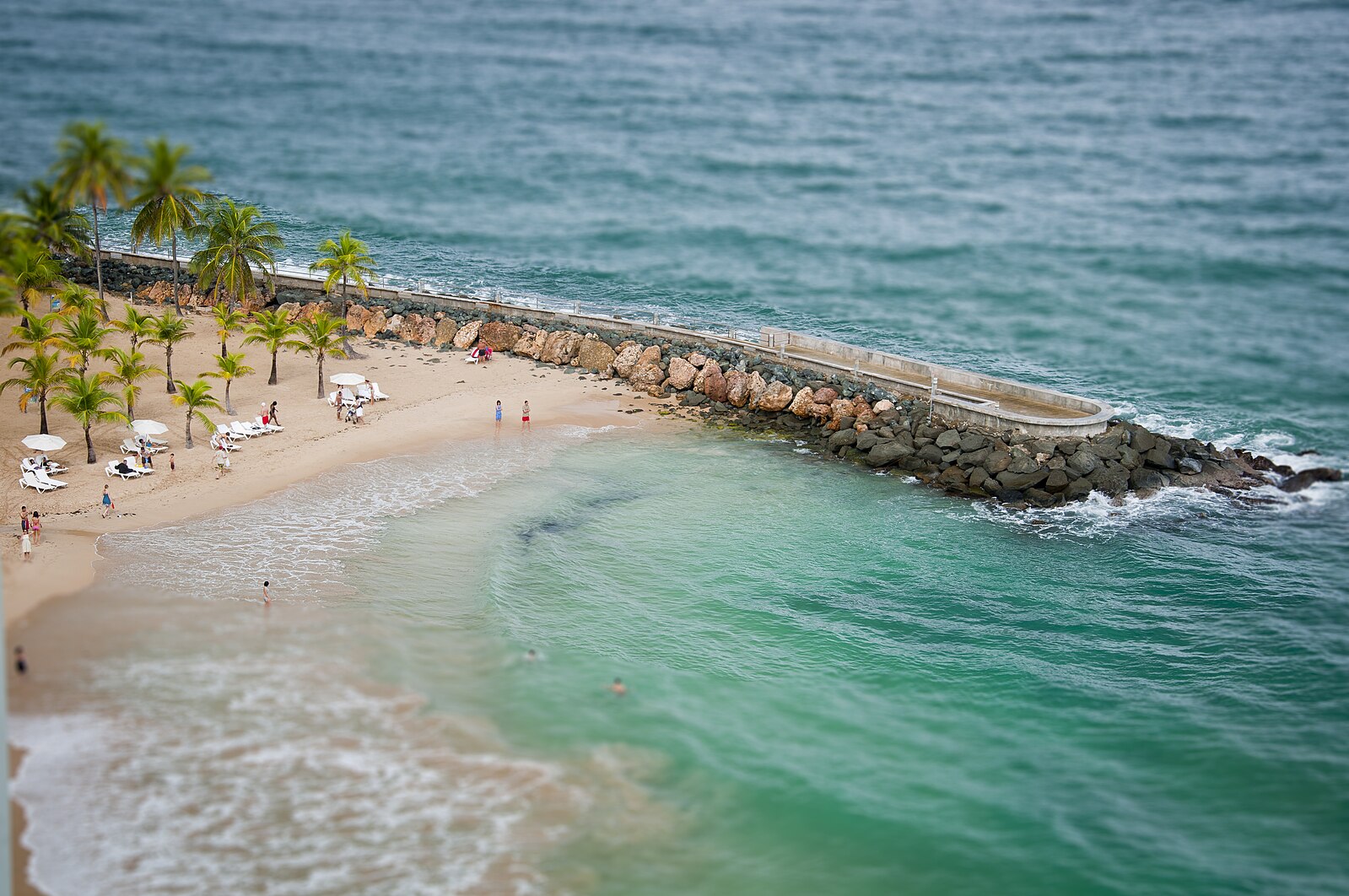 photo of Actividad de prueba activity