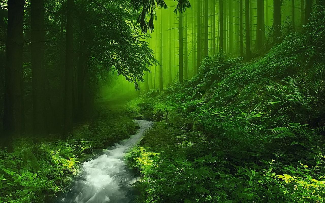 photo of Test images upload activity