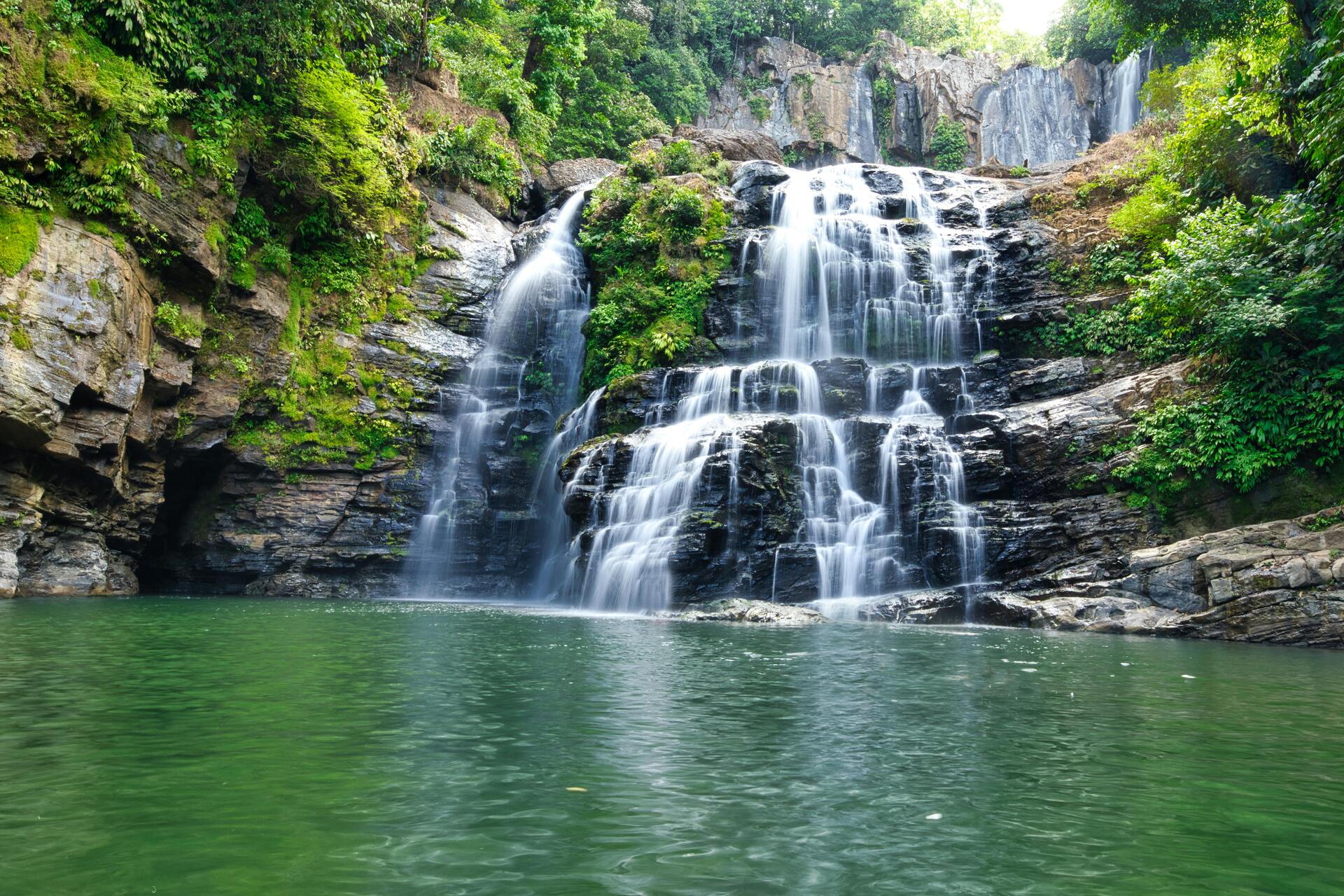 photo of Tour por la selva tropical El Yunque activity