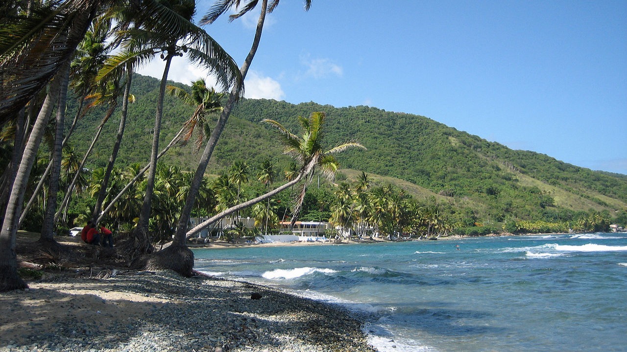 photo of Pearl Harbor Tour PNLWH4 activity