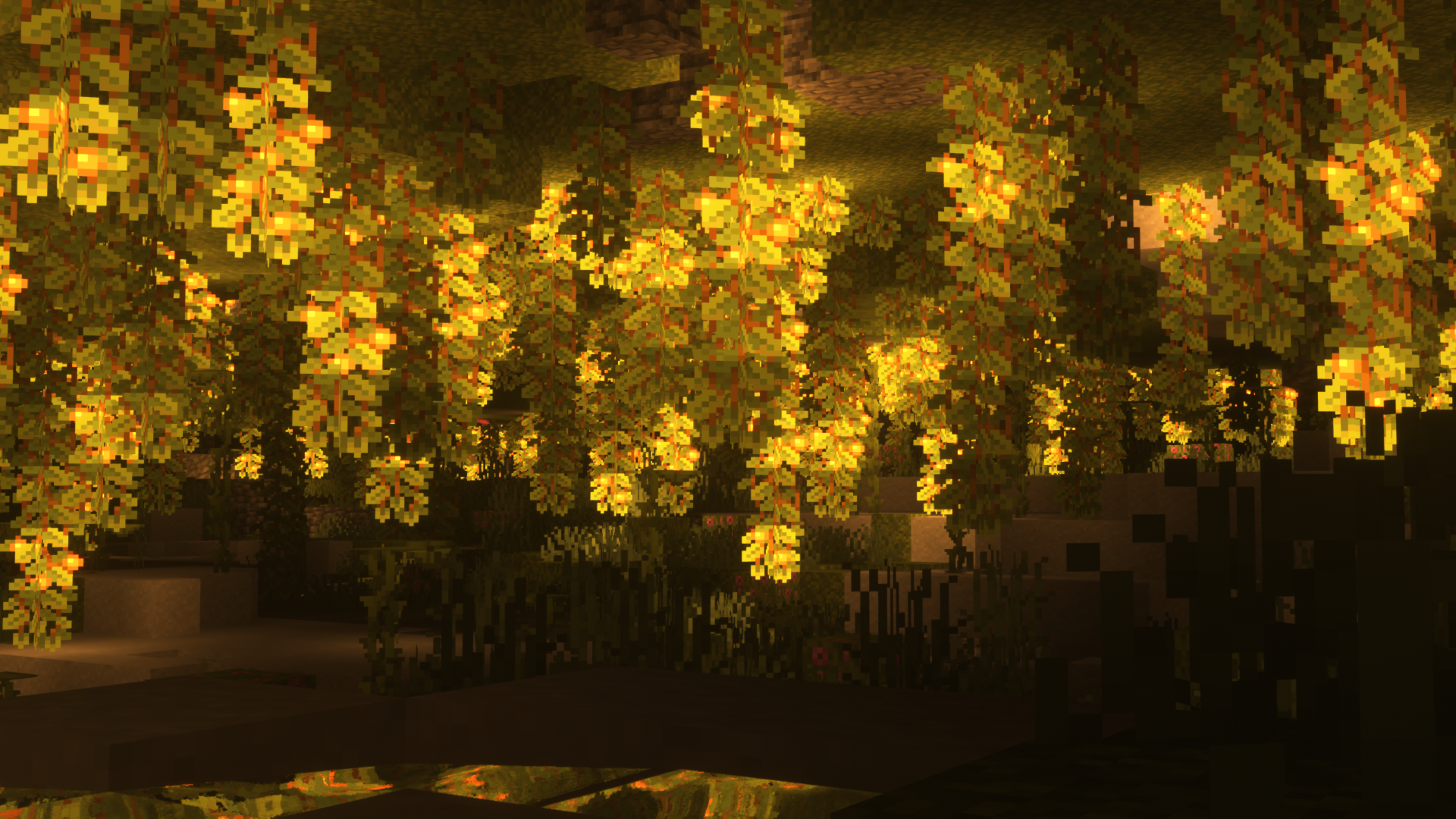 photo of cfggfg activity